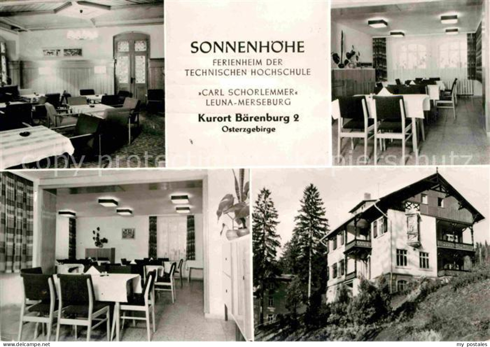 72728657 Baerenburg Sachsen Ferienheim Der Technischen Hochschule Sonnenhoehe Al - Altenberg