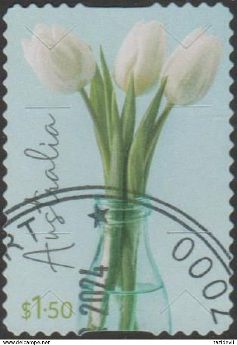 AUSTRALIA - DIE-CUT-USED 2024 $1.50 Special Occasions - Tulips - Used Stamps