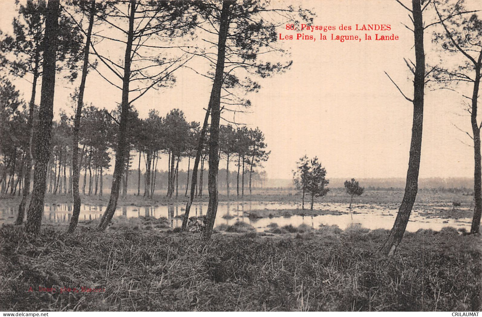 40-LES LANDES LES PINS LA LAGUNE LA LANDE-N°5141-A/0051 - Altri & Non Classificati