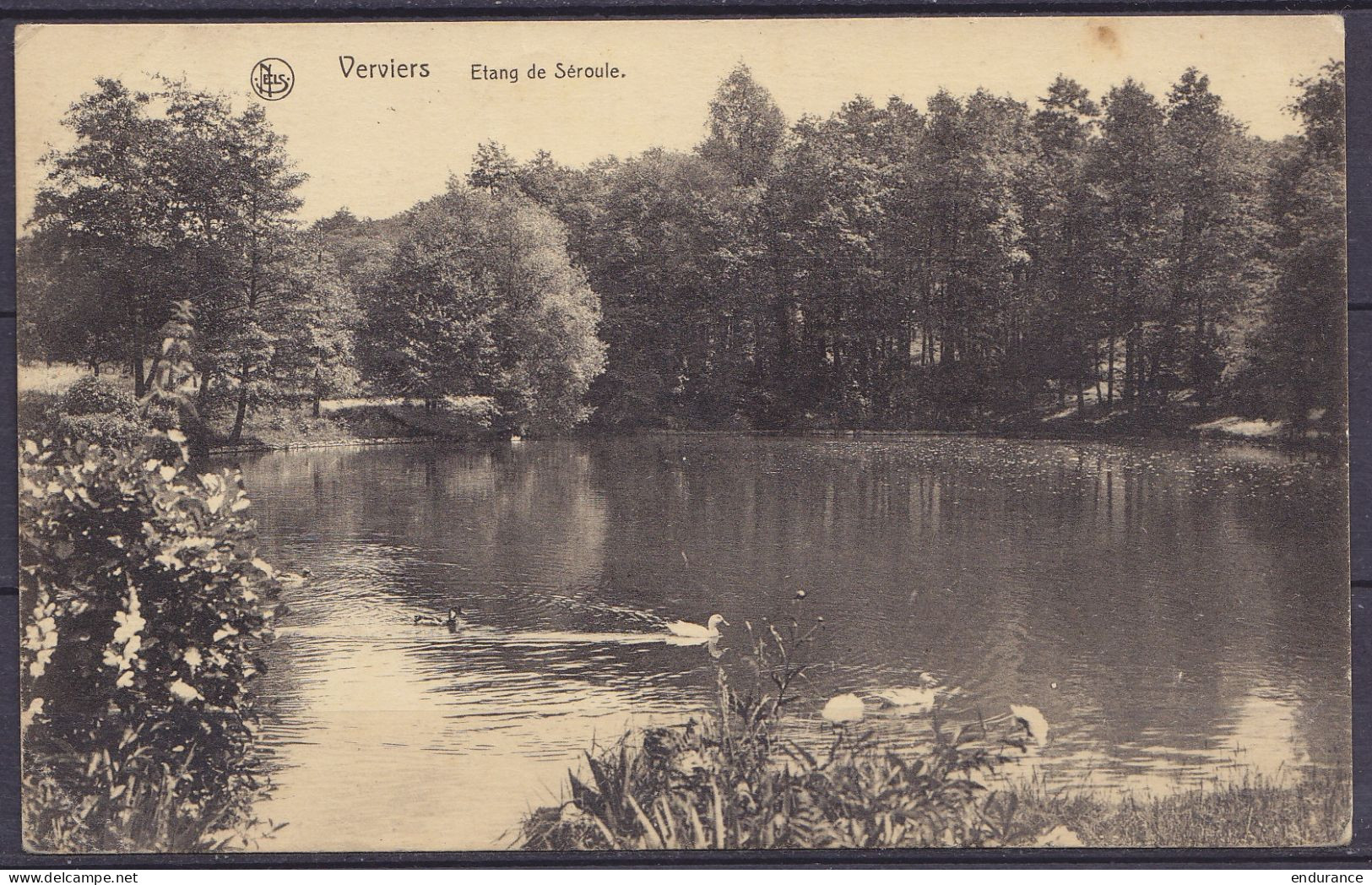 CP "Verviers Etang De Séroule" Affr. N°168 Càd Ambulant "ARLON-BRUXELLES (BRUSSEL) /13 VIII 1920" Pour BRUGES - 1919-1920  Re Con Casco