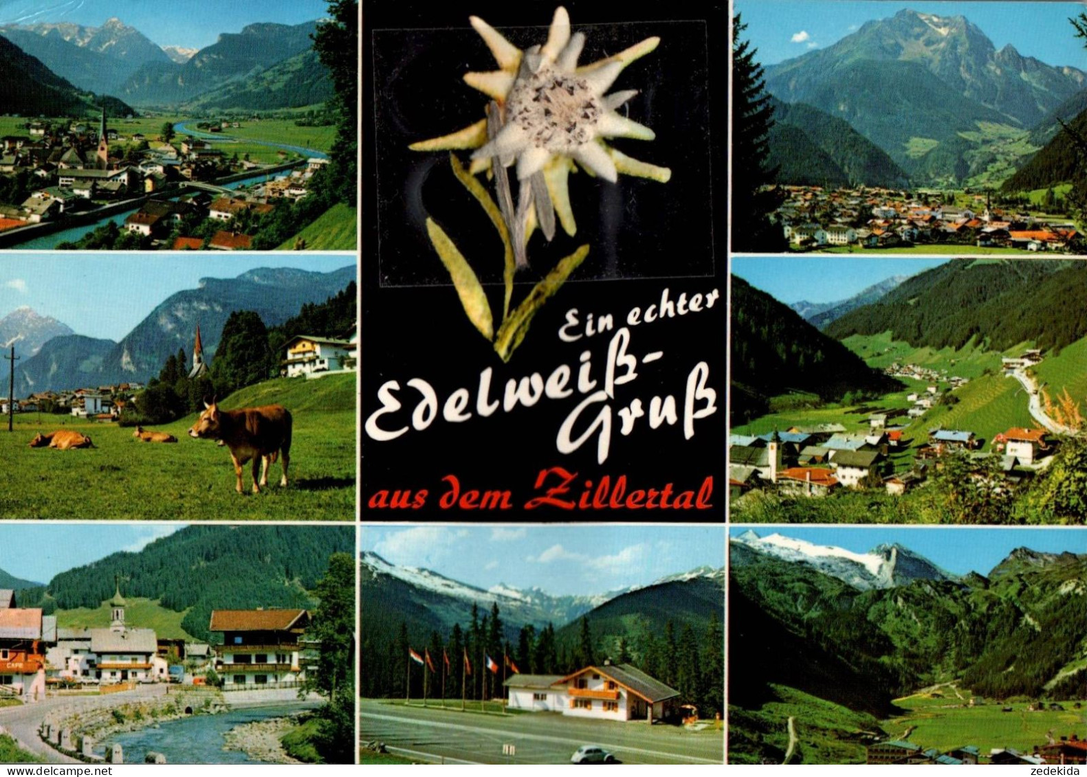 H2307 - Orig. Edelweiß Aus Dem Zillertal - Fleurs