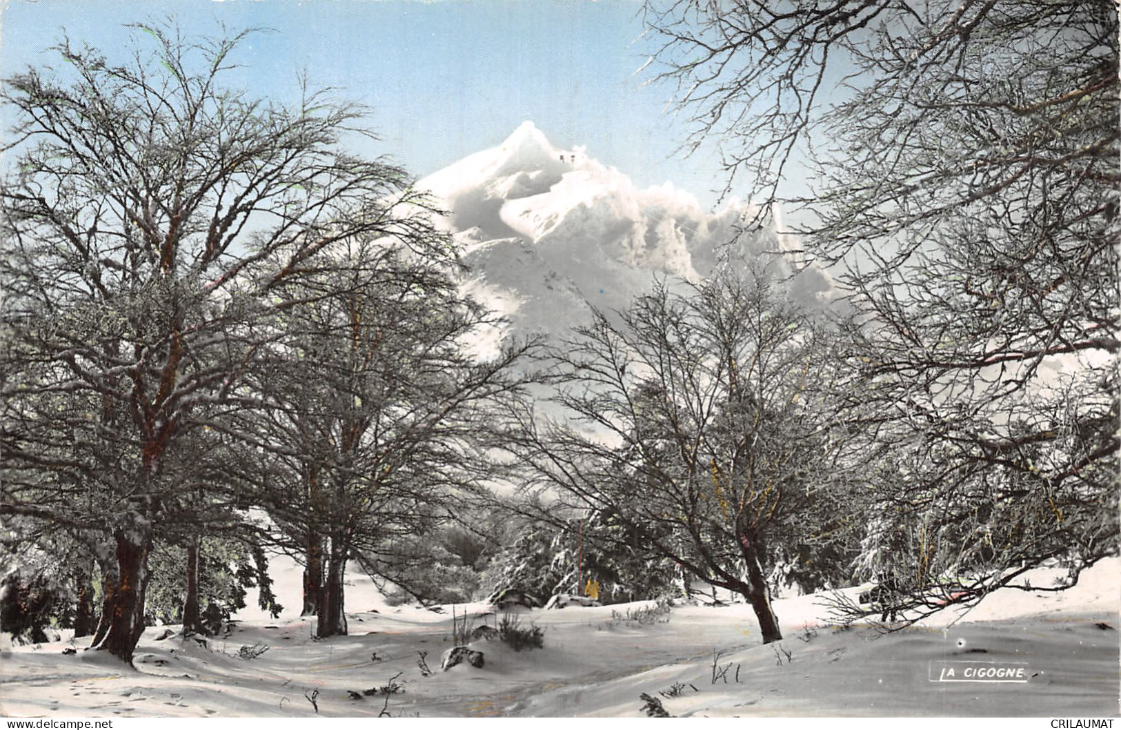 63-LE MONT DORE SANCY-N°5141-C/0325 - Le Mont Dore