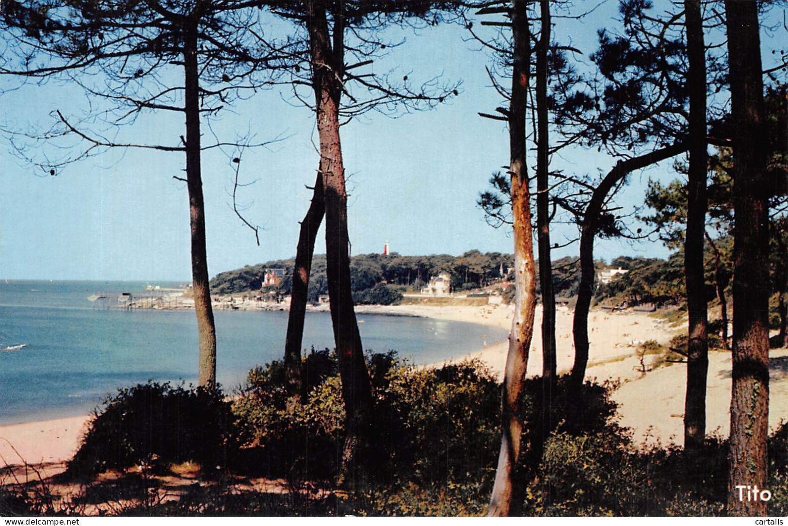 17-SAINT PALAIS SUR MER-N°4193-F/0353 - Saint-Palais-sur-Mer