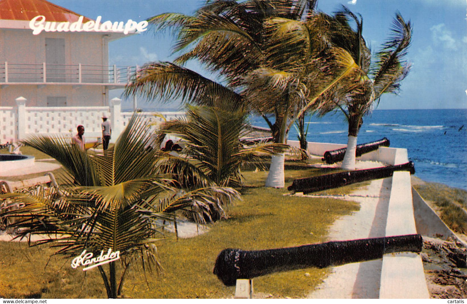 971-GUADELOUPE LE MOULE-N°4193-F/0339 - Sonstige & Ohne Zuordnung