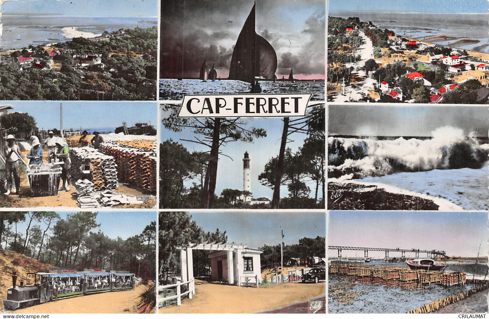 33-CAP FERRET-N°5141-F/0275 - Other & Unclassified