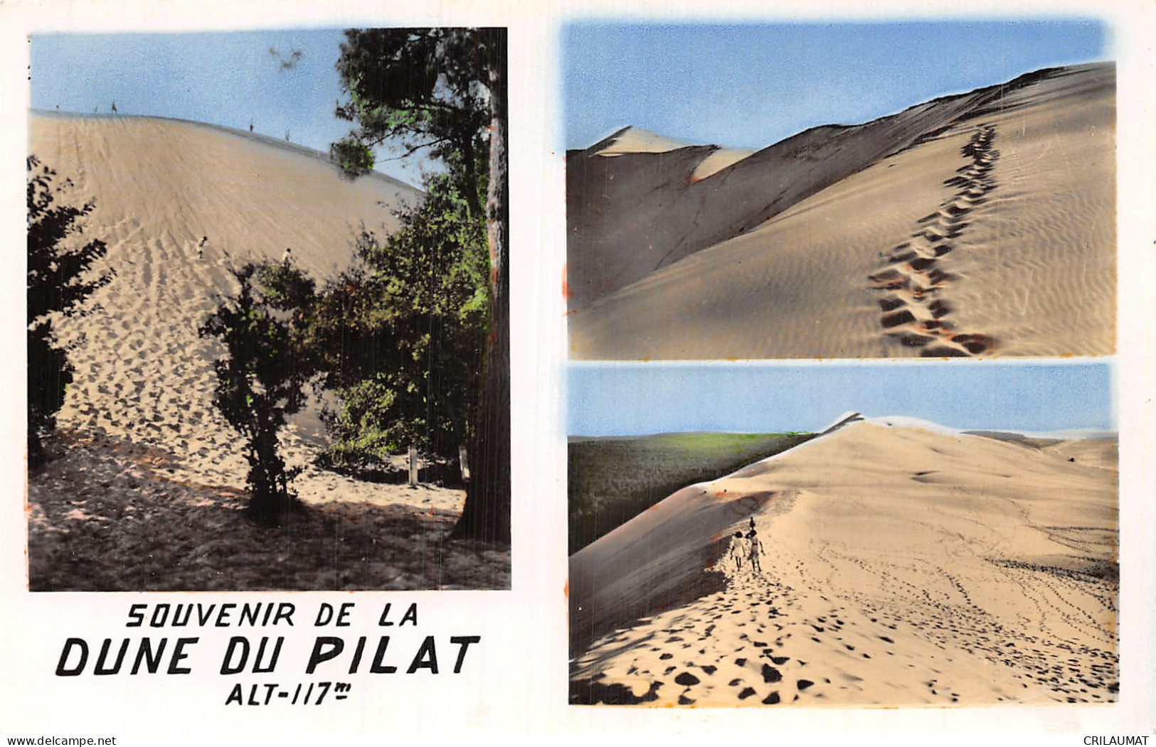 33-DUNE DU PILAT-N°5141-F/0259 - Other & Unclassified