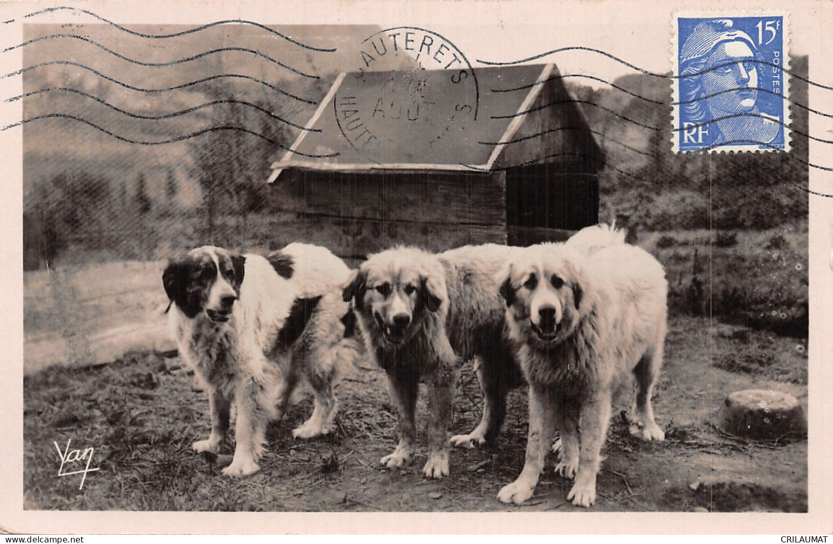 65-CHIENS DES PYRENEES-N°5141-F/0235 - Other & Unclassified