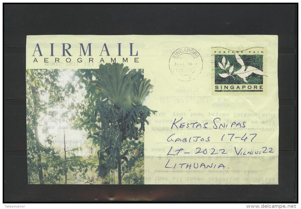 SINGAPORE Postal History Cover Brief SG 008 Birds Tree Forest Air Mail - Singapore (1959-...)