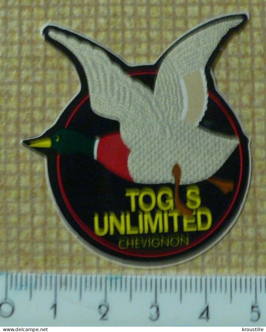 LOT DE 2 AUTOCOLLANTS TOG'S UNLIMITED - MODE / CANARD - Pegatinas