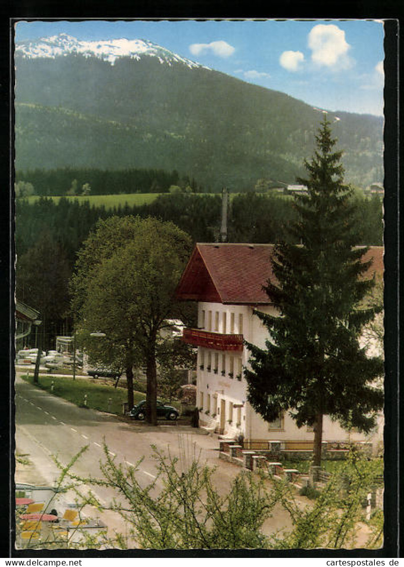 AK Bayer. Eisenstein, Gasthaus-Pension Neuwaldhaus  - Other & Unclassified