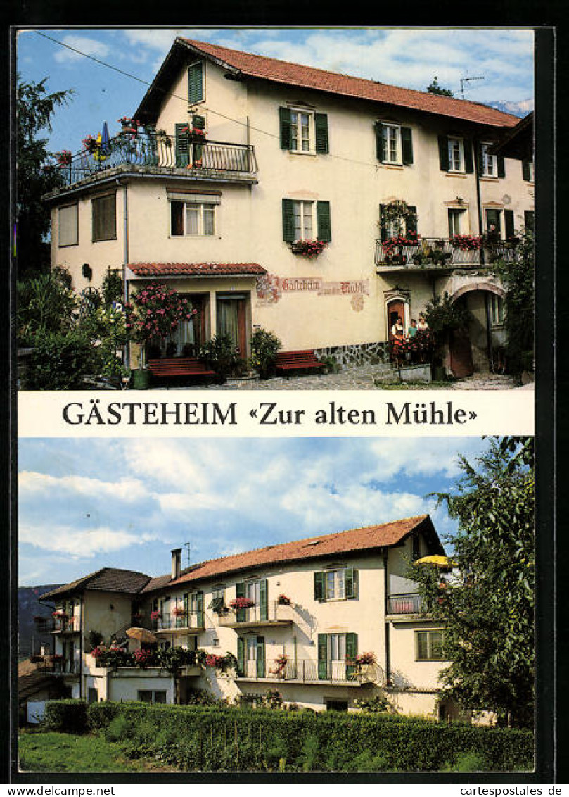 AK Auer Bei Bozen-Südtirol, Gästeheim Zur Alten Mühle  - Autres & Non Classés