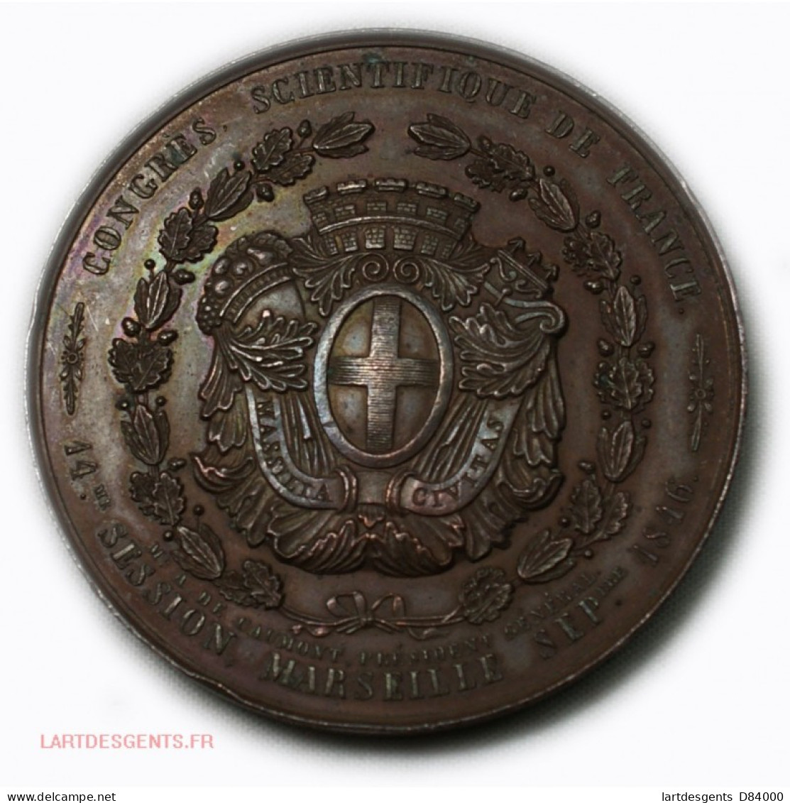 Médaille Congrès Scientifique De France Marseille 1846 Par ROUX. INF - Professionnels / De Société