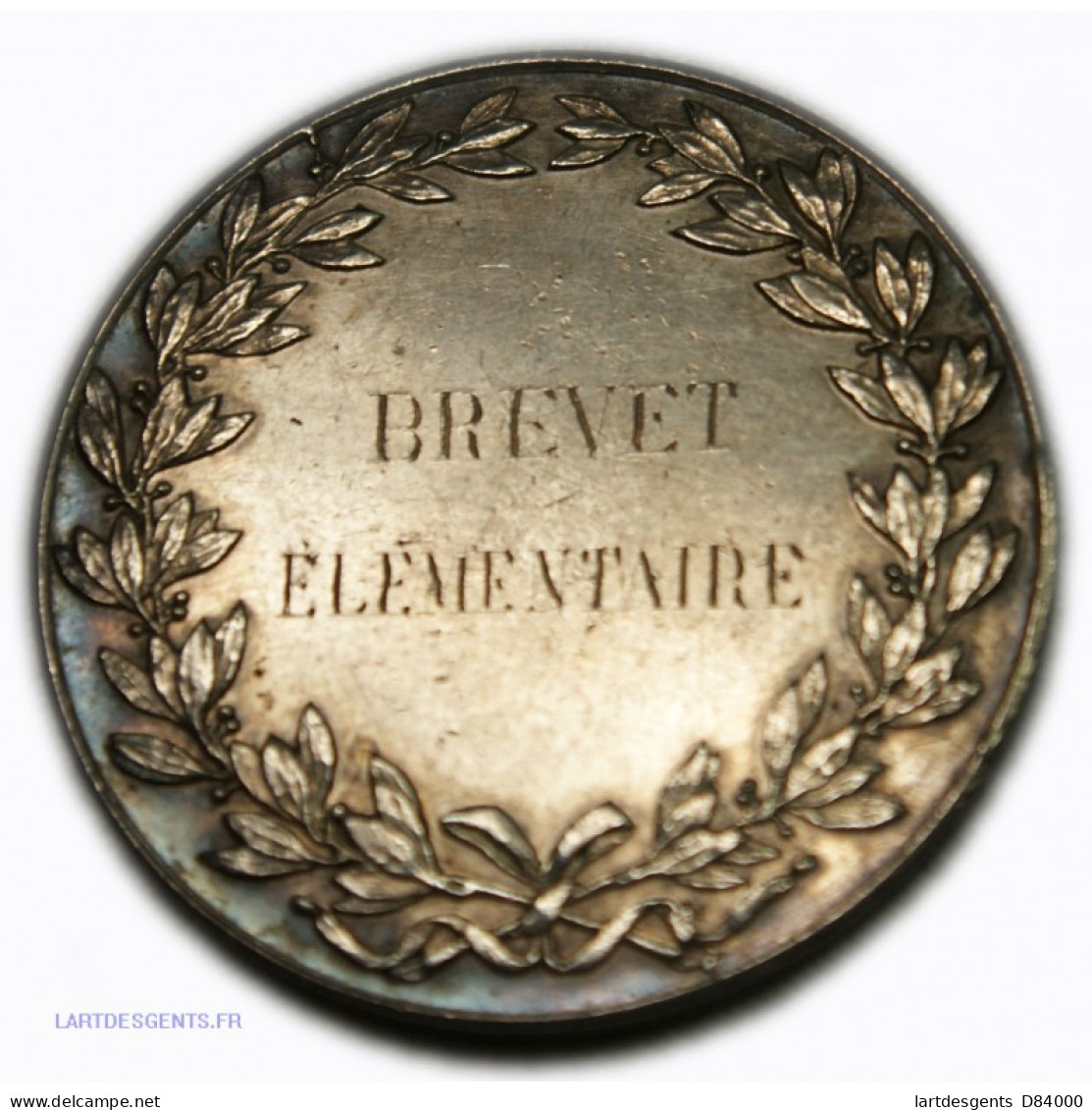 Médaille Argent Brevet élémentaire  1889, 15.60grs - Professionals / Firms