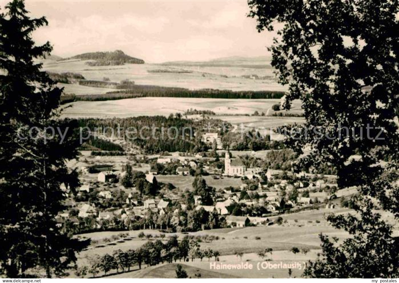 72727321 Hainewalde Panorama Oberlausitz Hainewalde - Sonstige & Ohne Zuordnung