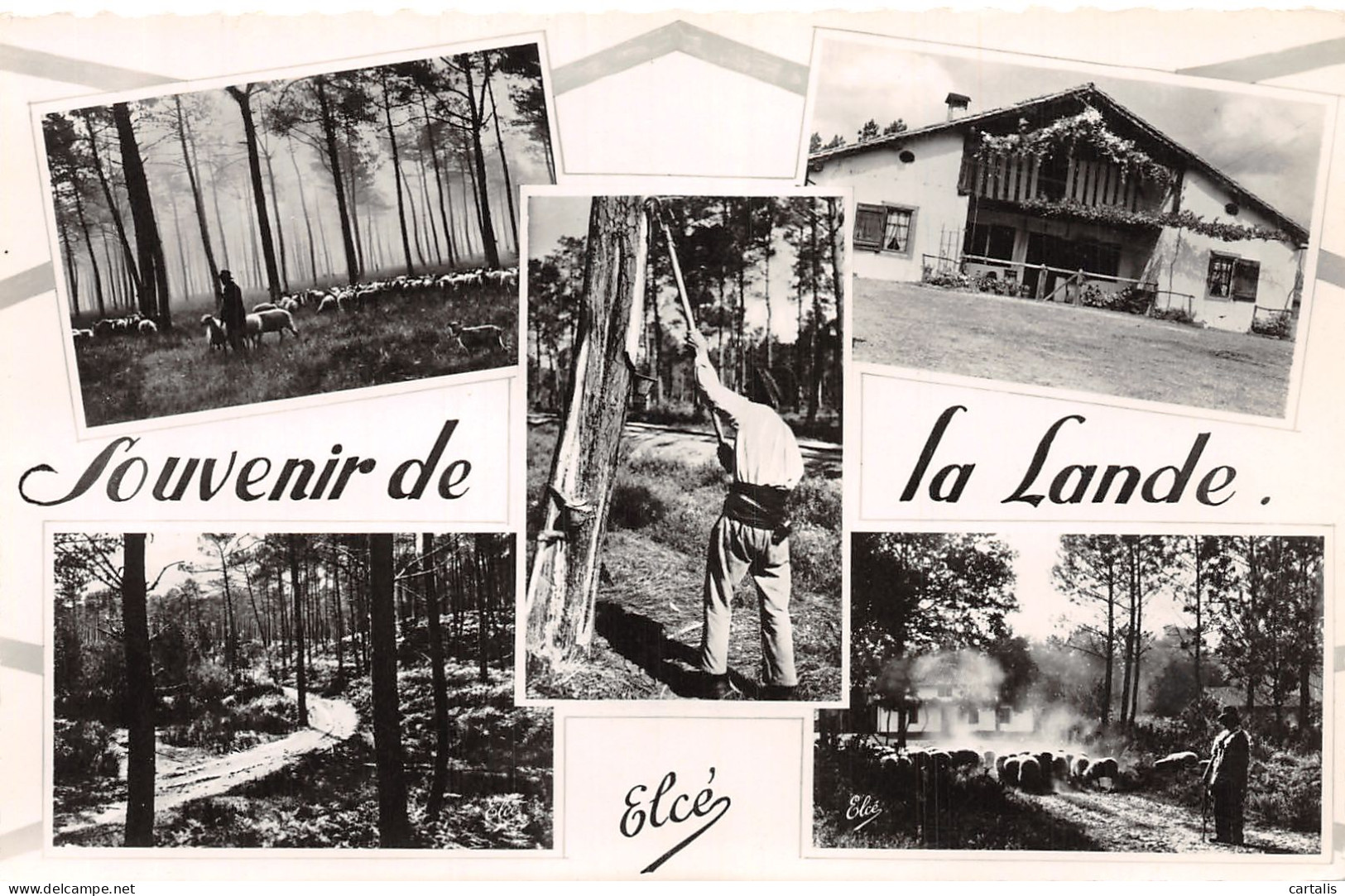 40-LES LANDES-N°4194-F/0001 - Other & Unclassified