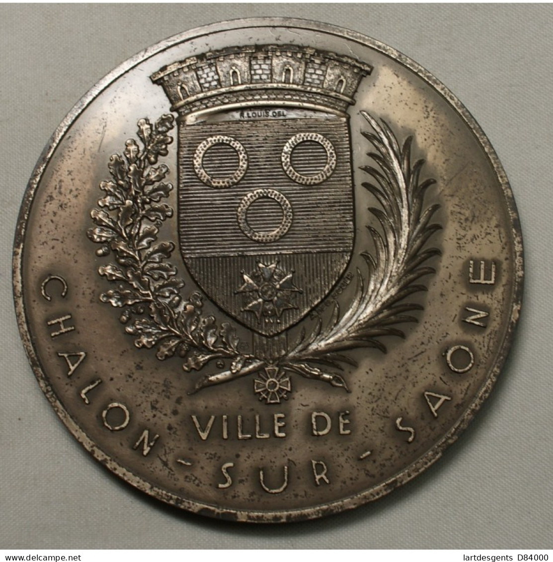 Médaille Argent VILLE DE CHALON SUR SAONE 155grs Par A.DE G.SCULP. - Professionnels / De Société