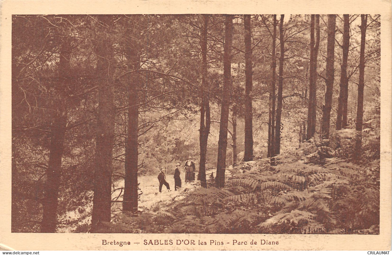 22-SABLES D OR LES PINS-N°5142-G/0221 - Otros & Sin Clasificación