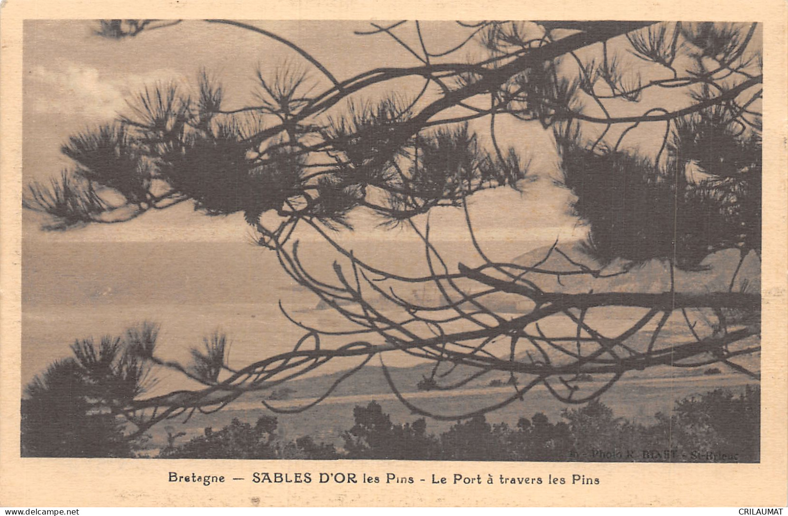 22-SABLES D OR LES PINS-N°5142-G/0217 - Otros & Sin Clasificación