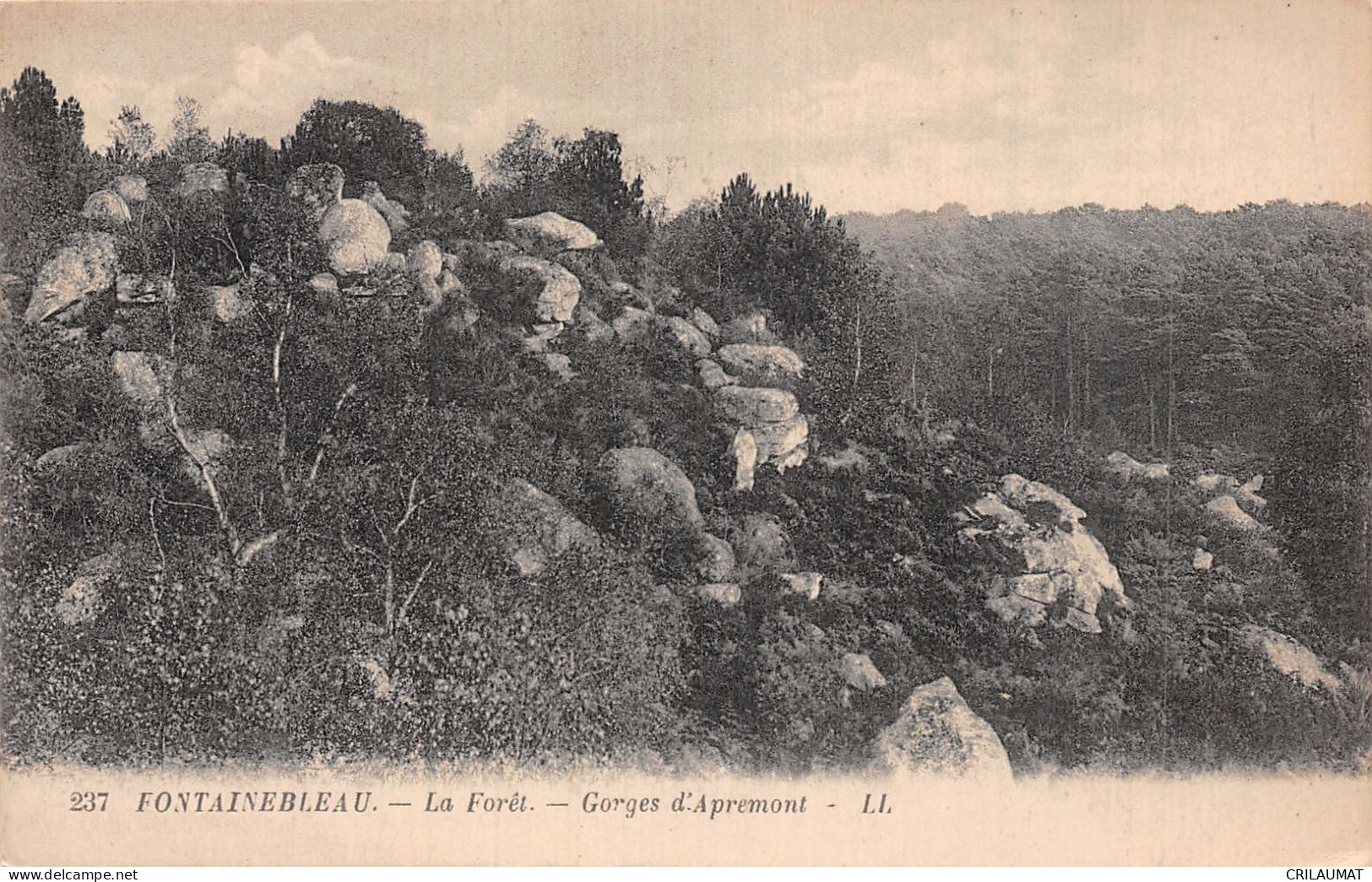 77-FONTAINEBLEAU LA FORET-N°5142-G/0099 - Fontainebleau