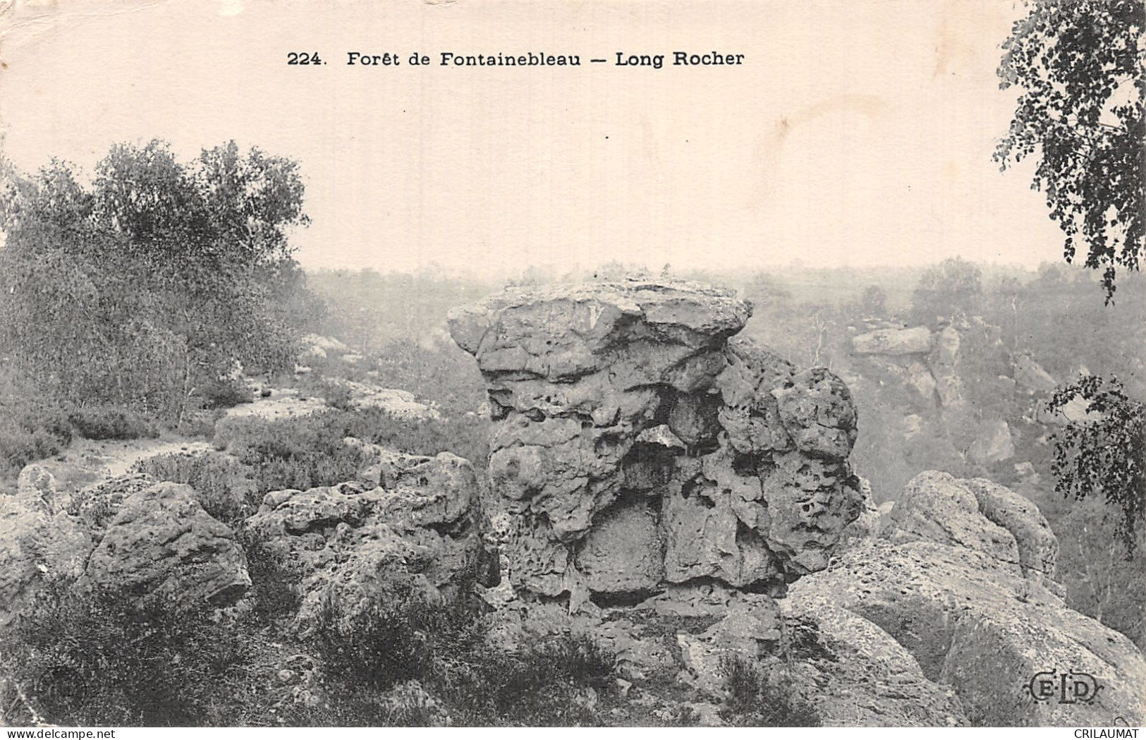 77-FONTAINEBLEAU LA FORET-N°5142-G/0087 - Fontainebleau