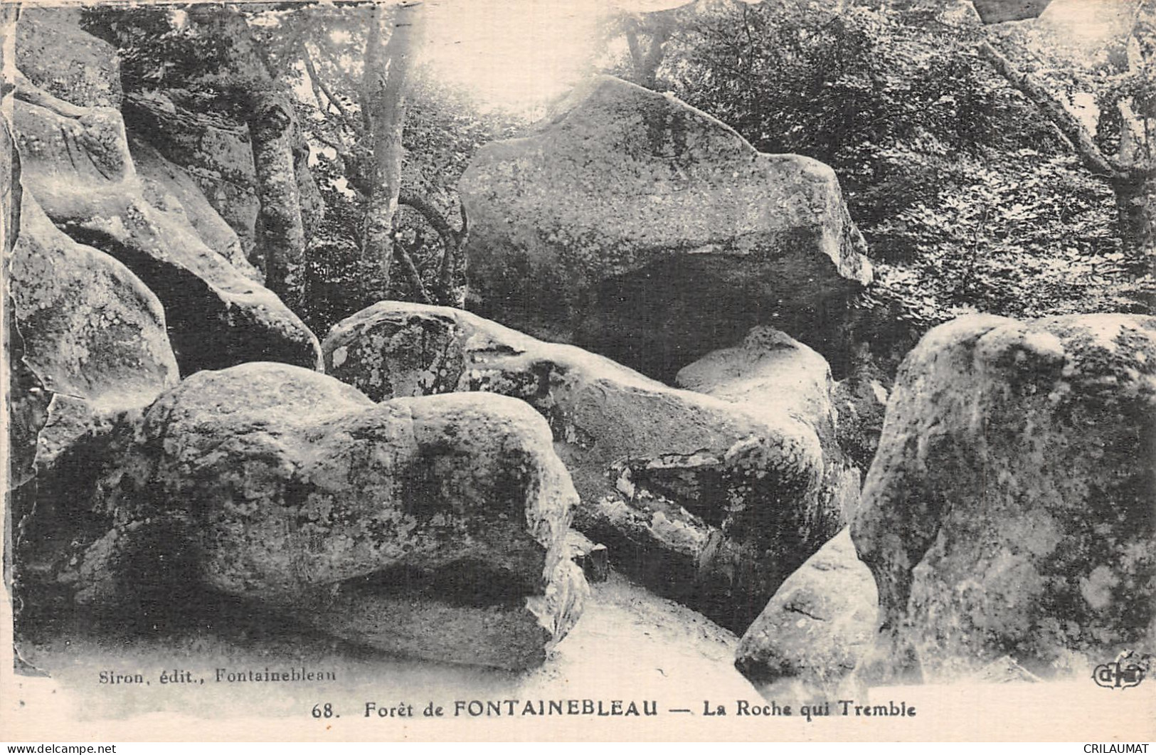 77-FONTAINEBLEAU LA FORET-N°5142-F/0239 - Fontainebleau