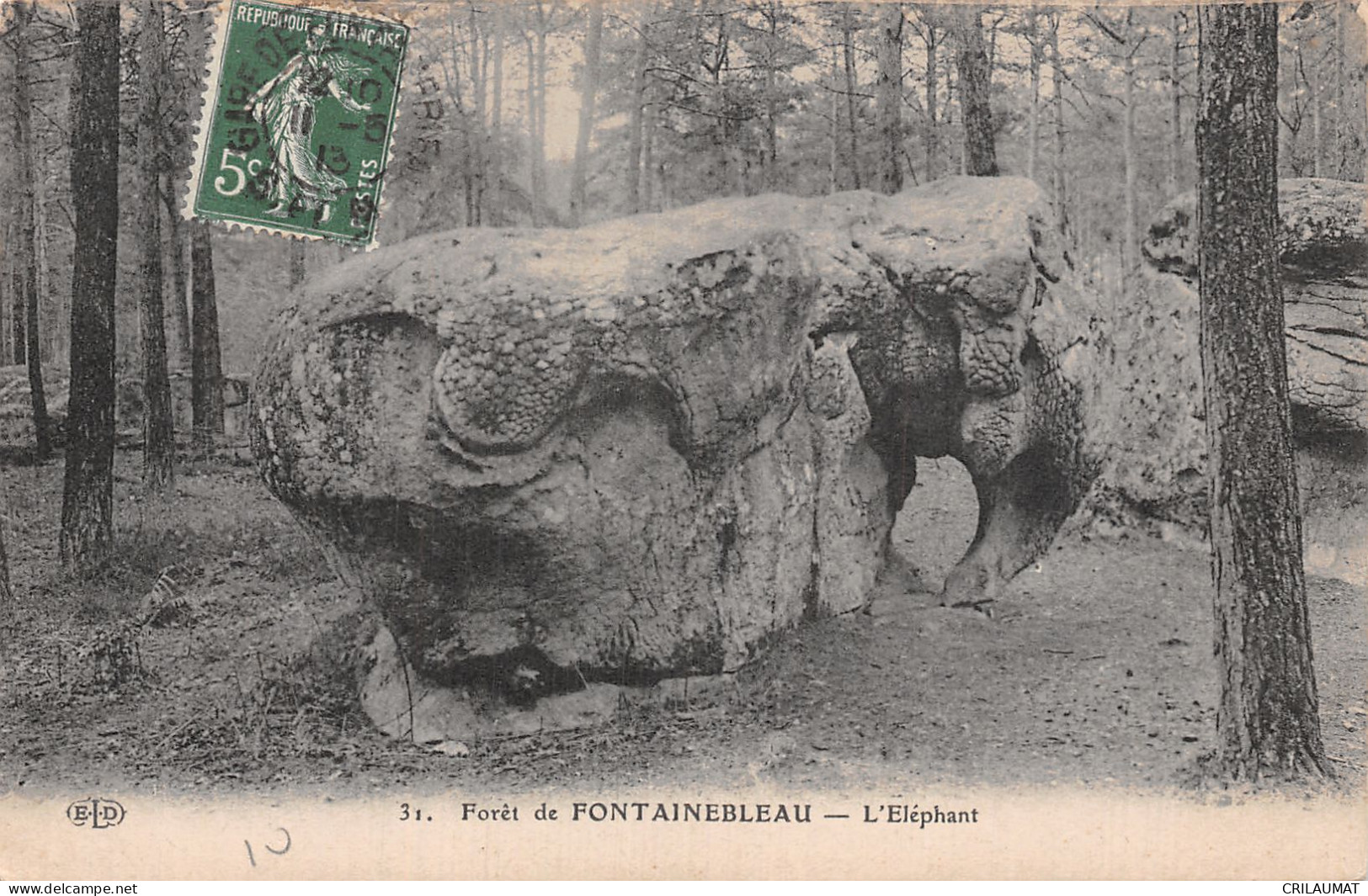 77-FONTAINEBLEAU LA FORET-N°5142-E/0175 - Fontainebleau