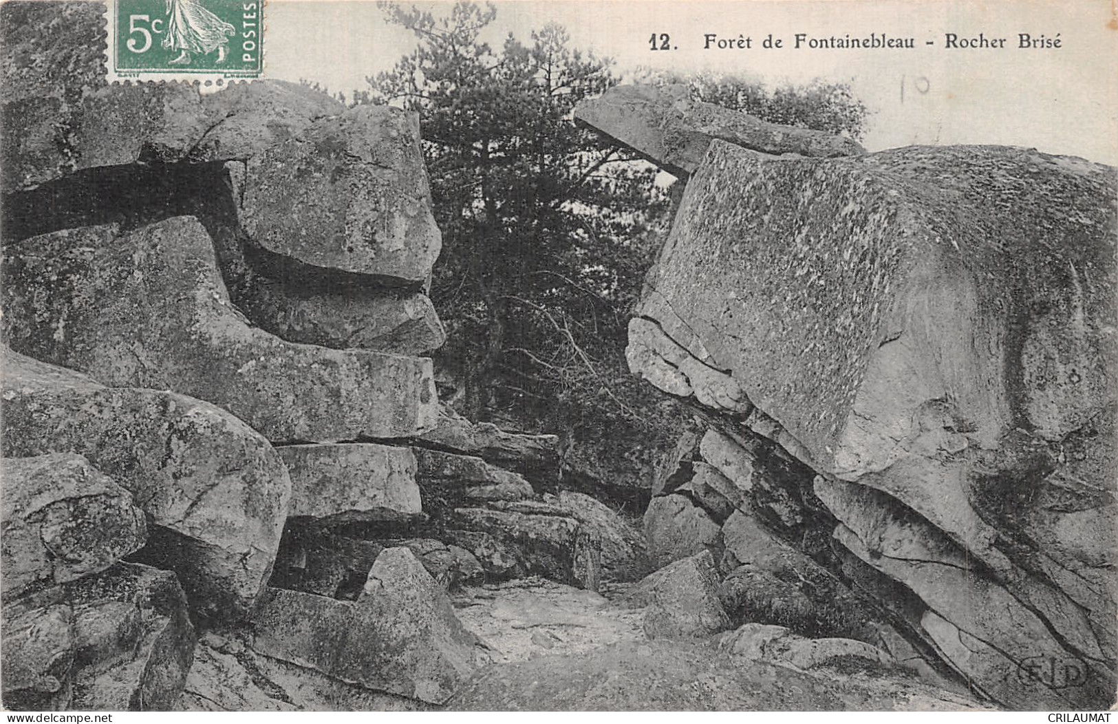 77-FONTAINEBLEAU LA FORET-N°5142-E/0181 - Fontainebleau