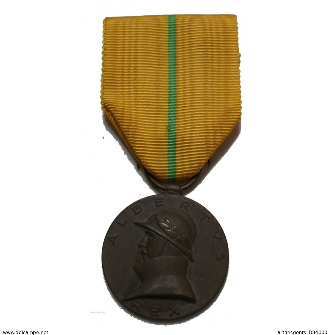 Médaille Belgique ALBERTUS REX Roi Albert 1er 1909-1934 - Professionnels / De Société