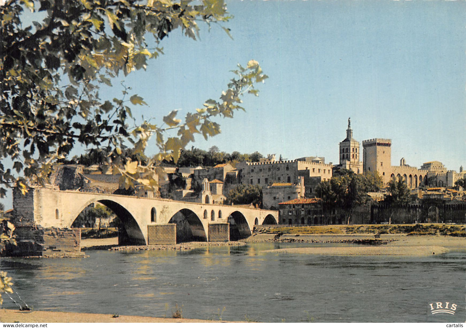 84-AVIGNON-N°4195-A/0203 - Avignon