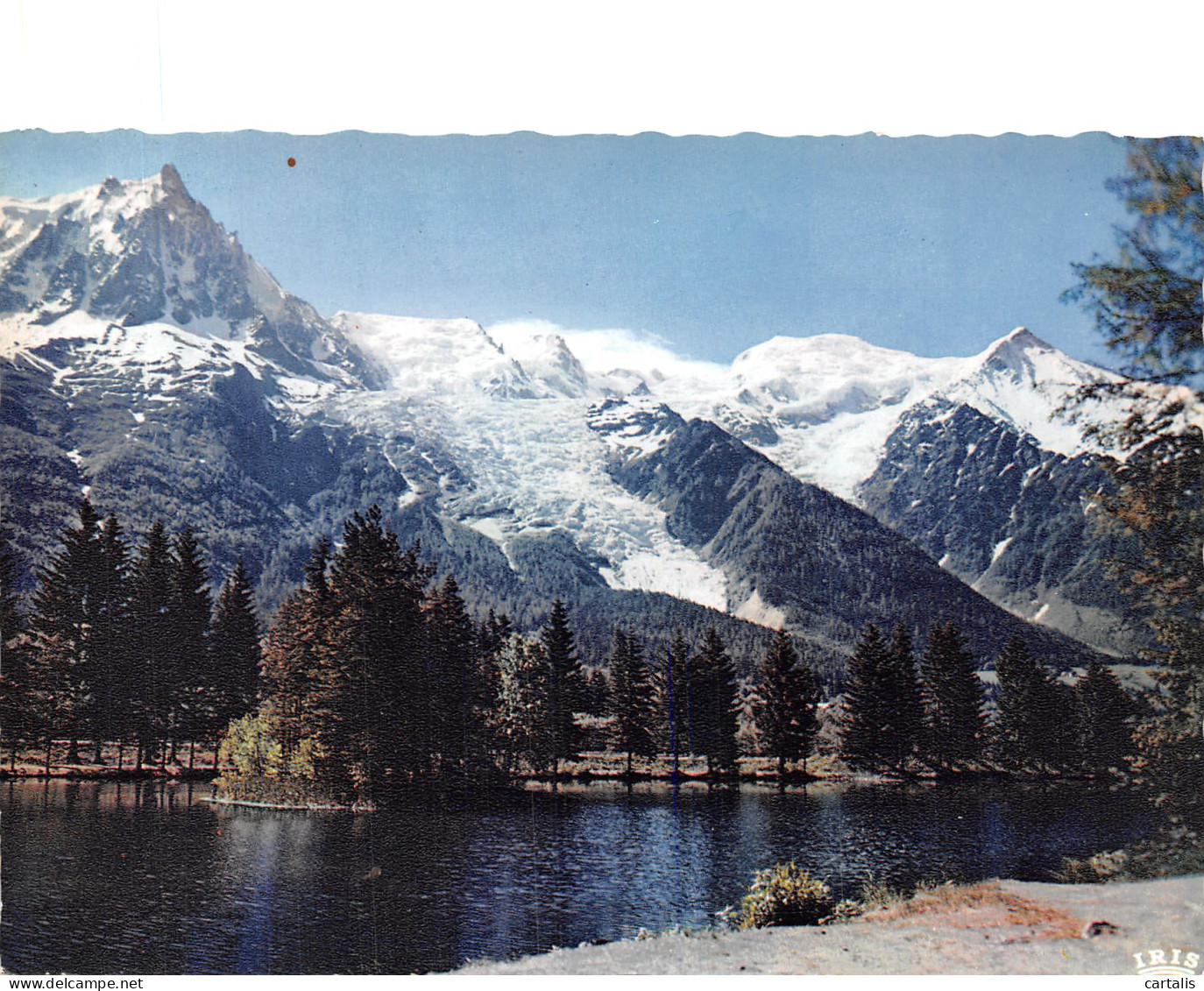 74-CHAMONIX MONT BLANC-N°4195-A/0085 - Chamonix-Mont-Blanc