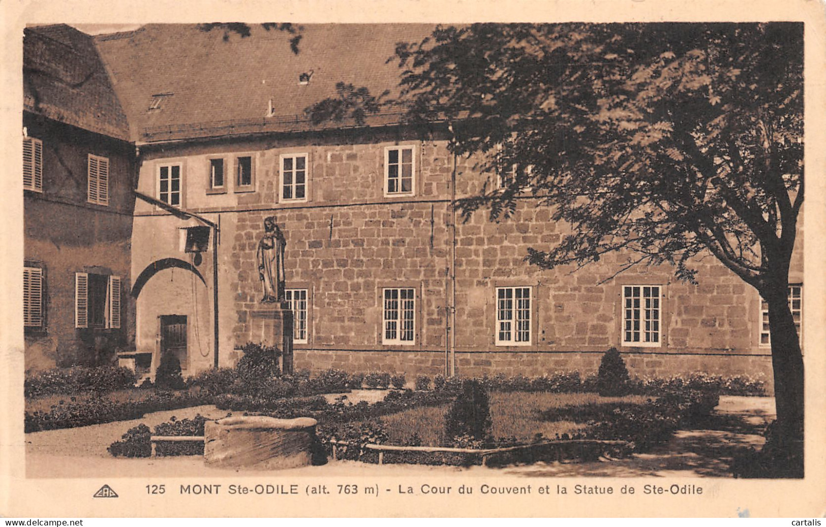 67-MONT SAINTE ODILE-N°4194-H/0019 - Other & Unclassified