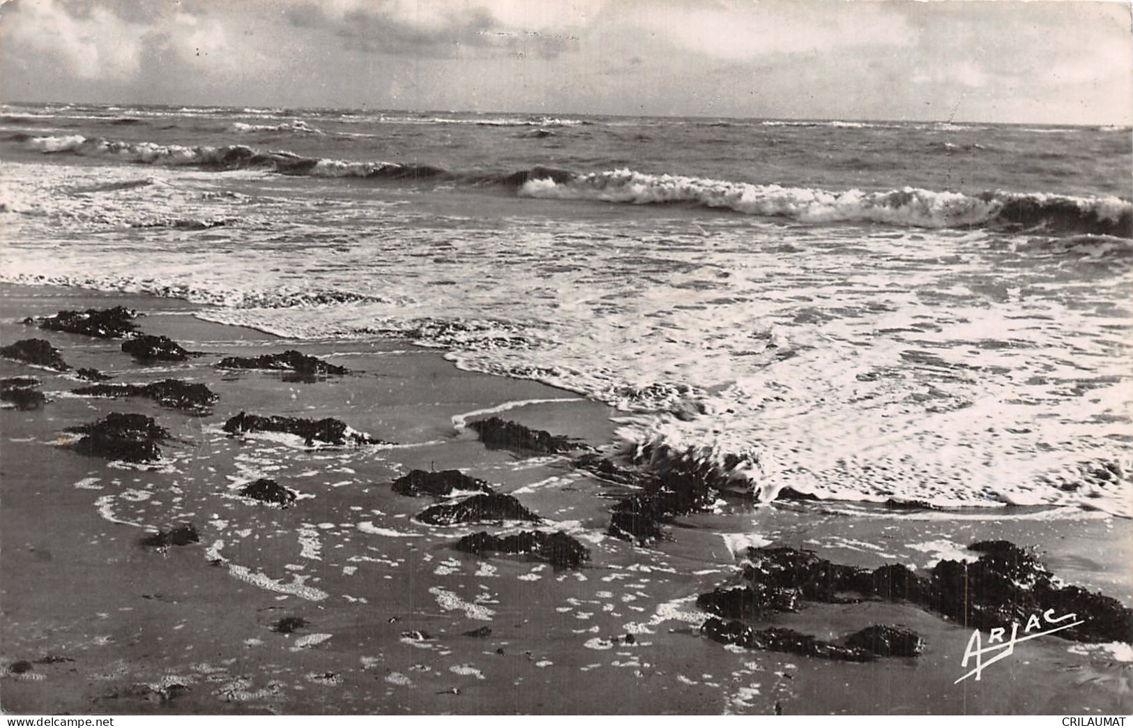 17-ILE D OLERON DOMINO-N°5143-A/0341 - Ile D'Oléron