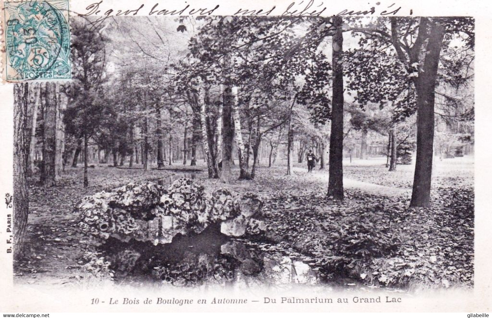 75 - PARIS 16 - Bois De Boulogne En Automne -  Du Palmarium Au Grand Lac - Arrondissement: 16