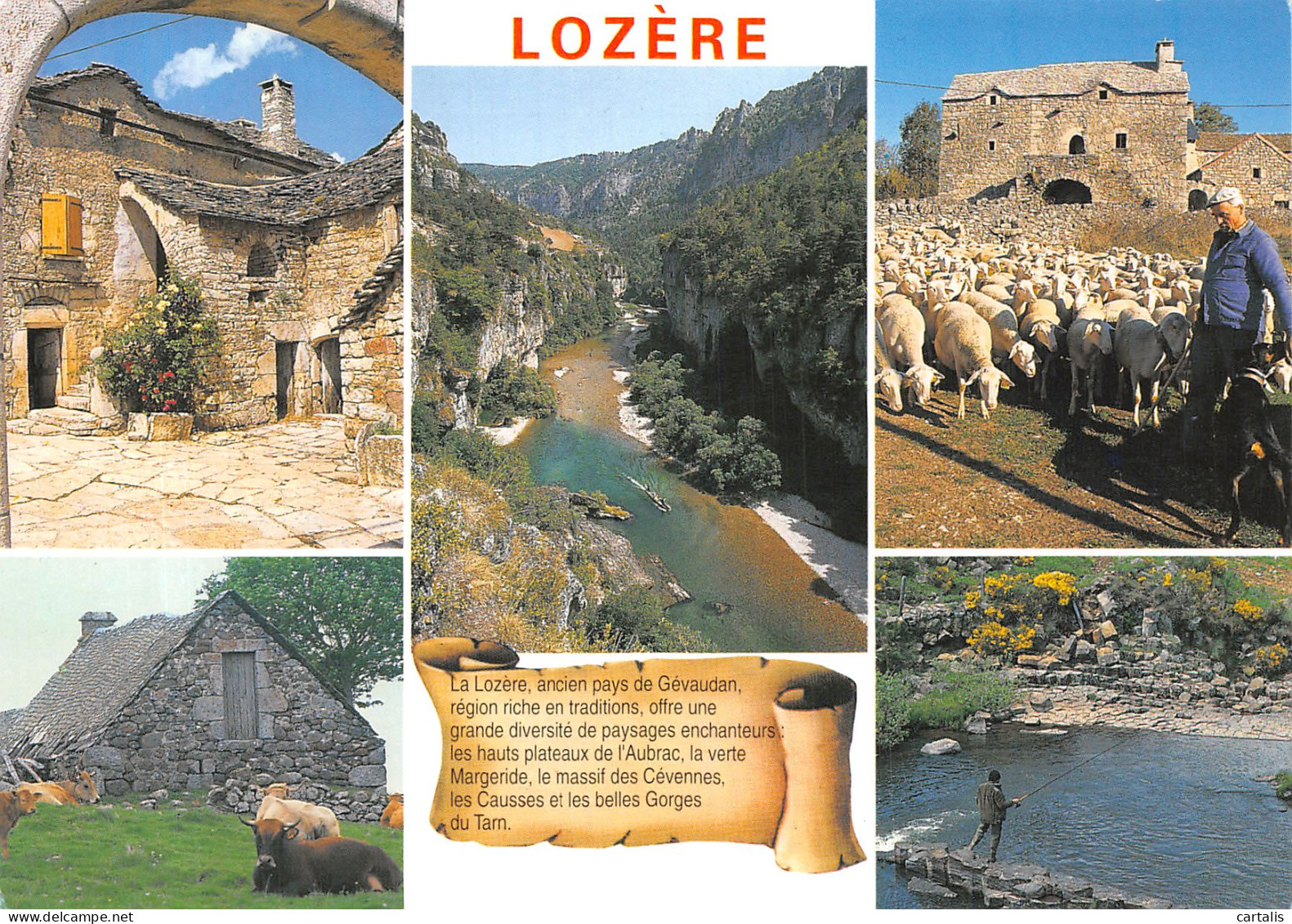 48-LOZERE-N°4195-D/0097 - Other & Unclassified