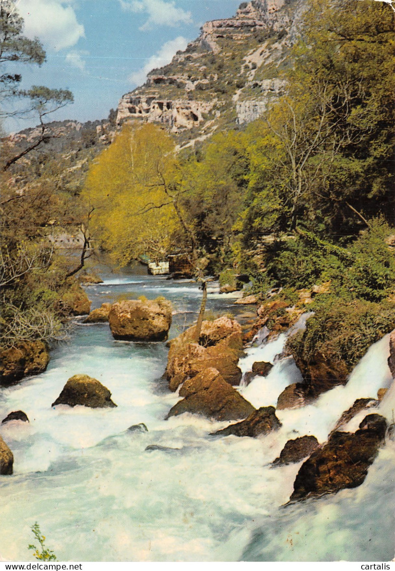 84-FONTAINE DE VAUCLUSE-N°4195-D/0061 - Other & Unclassified