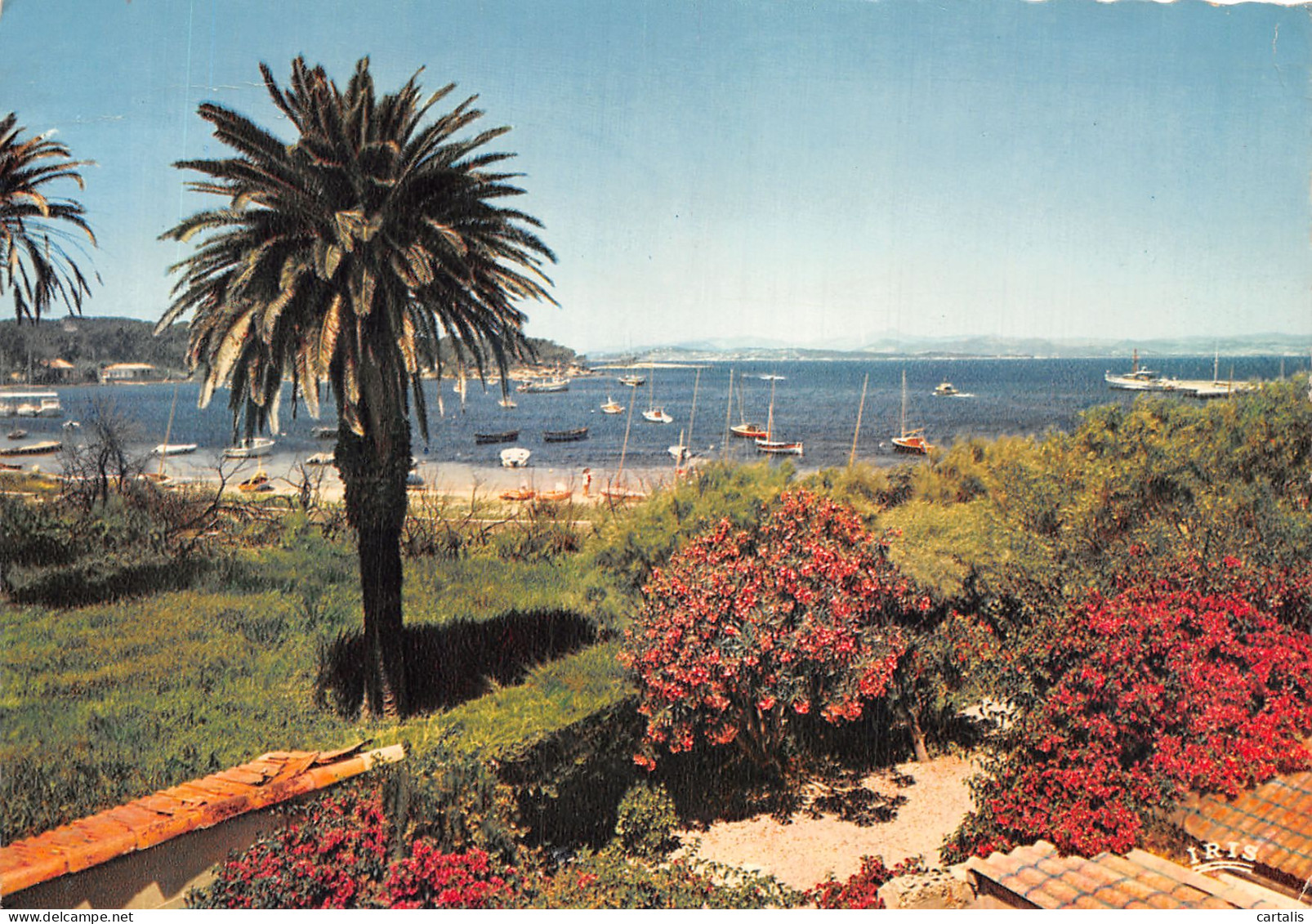 83-ILE DE PORQUEROLLES-N°4195-D/0031 - Andere & Zonder Classificatie