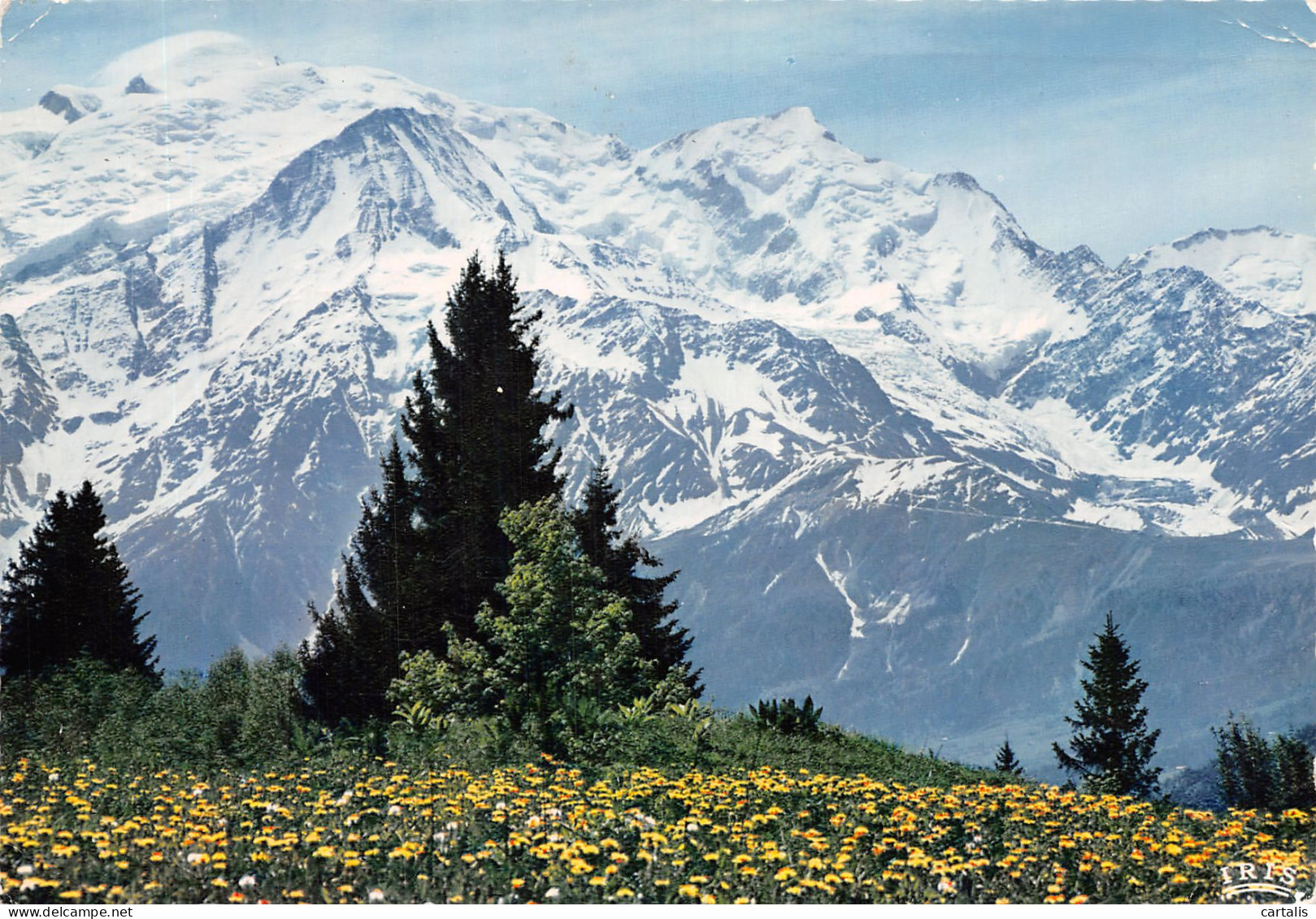 74-MONT BLANC-N°4195-C/0259 - Other & Unclassified