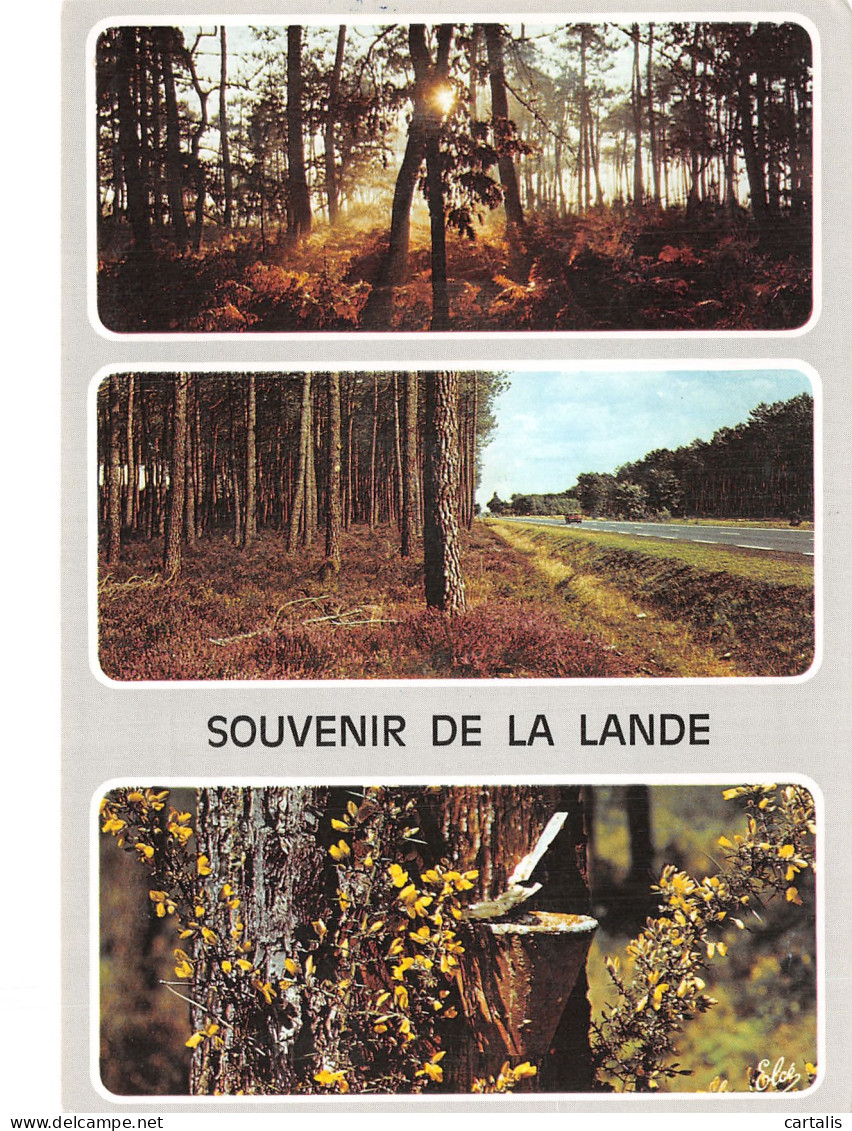 40-LANDES-N°4195-B/0371 - Other & Unclassified