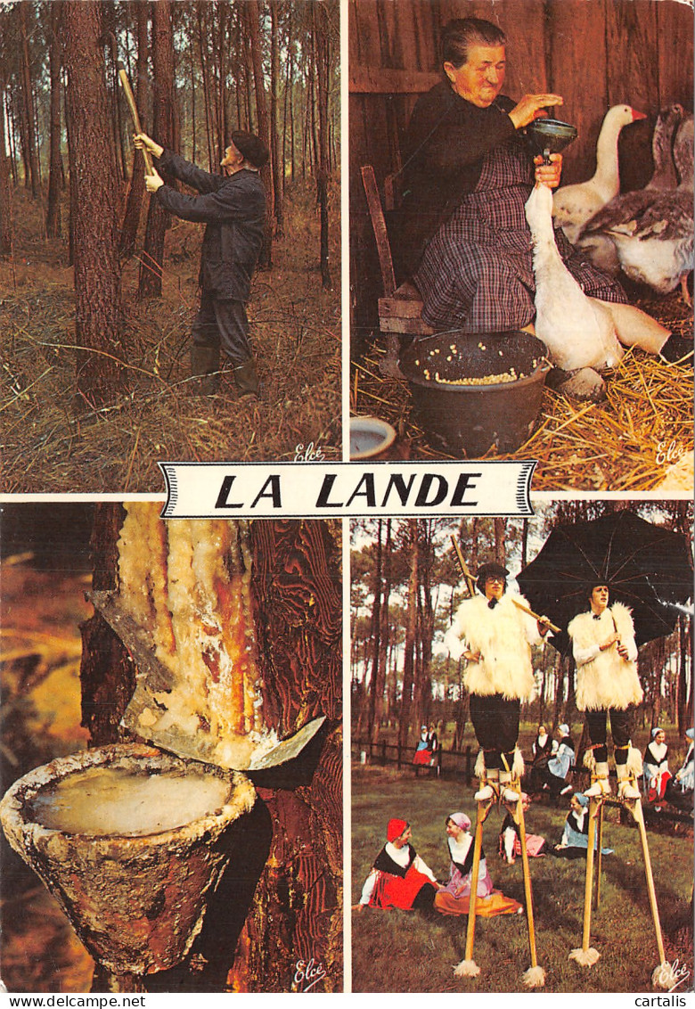 40-LANDES-N°4195-B/0305 - Other & Unclassified