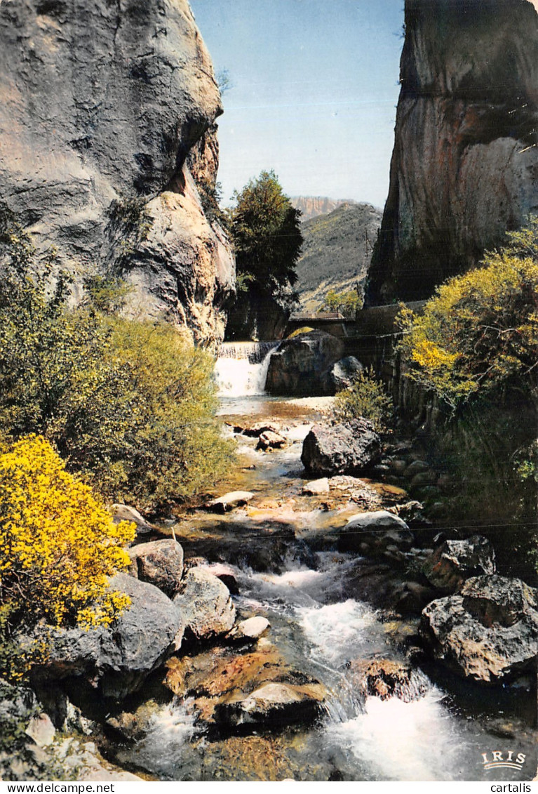 83-TORRENT DANS LES GORGES-N°4195-B/0287 - Autres & Non Classés