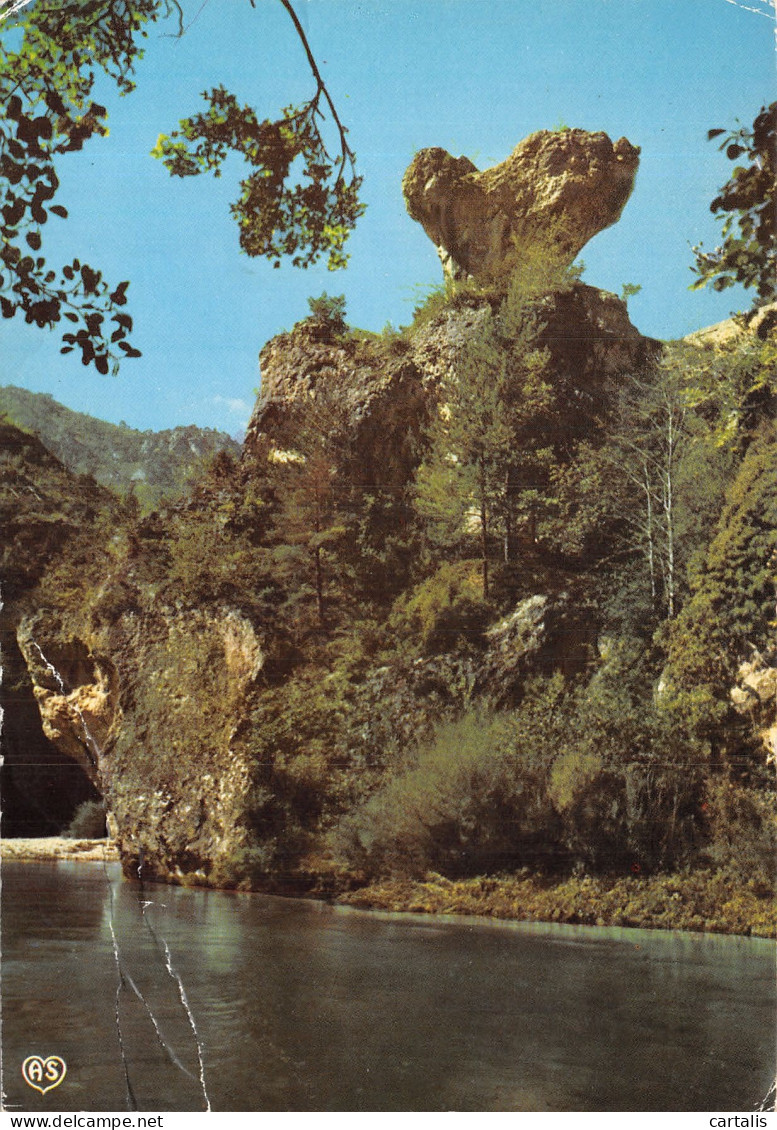 48-GORGES DU TARN-N°4195-B/0269 - Gorges Du Tarn