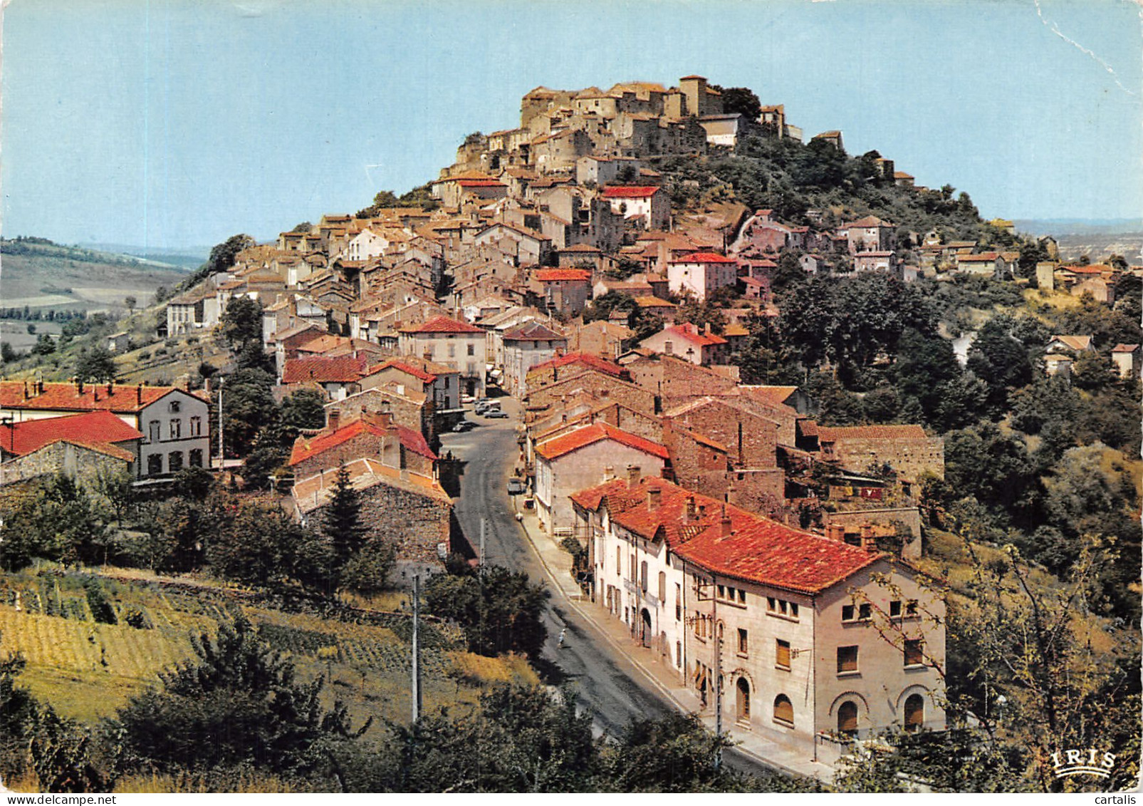 81-CORDES-N°4195-B/0163 - Cordes