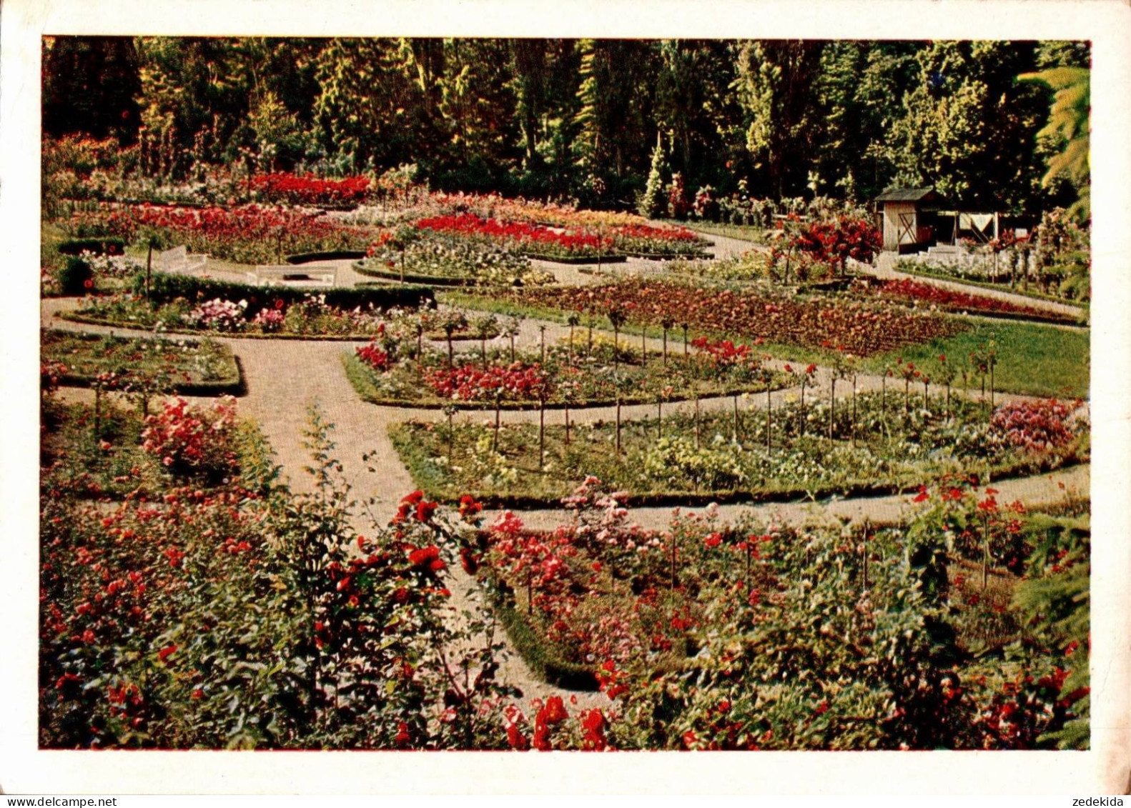 H2314 - TOP Sangerhausen - Rosarium - Dresdner Foto Werkstätte Walter DFW Naturfabenfotografie - Sangerhausen