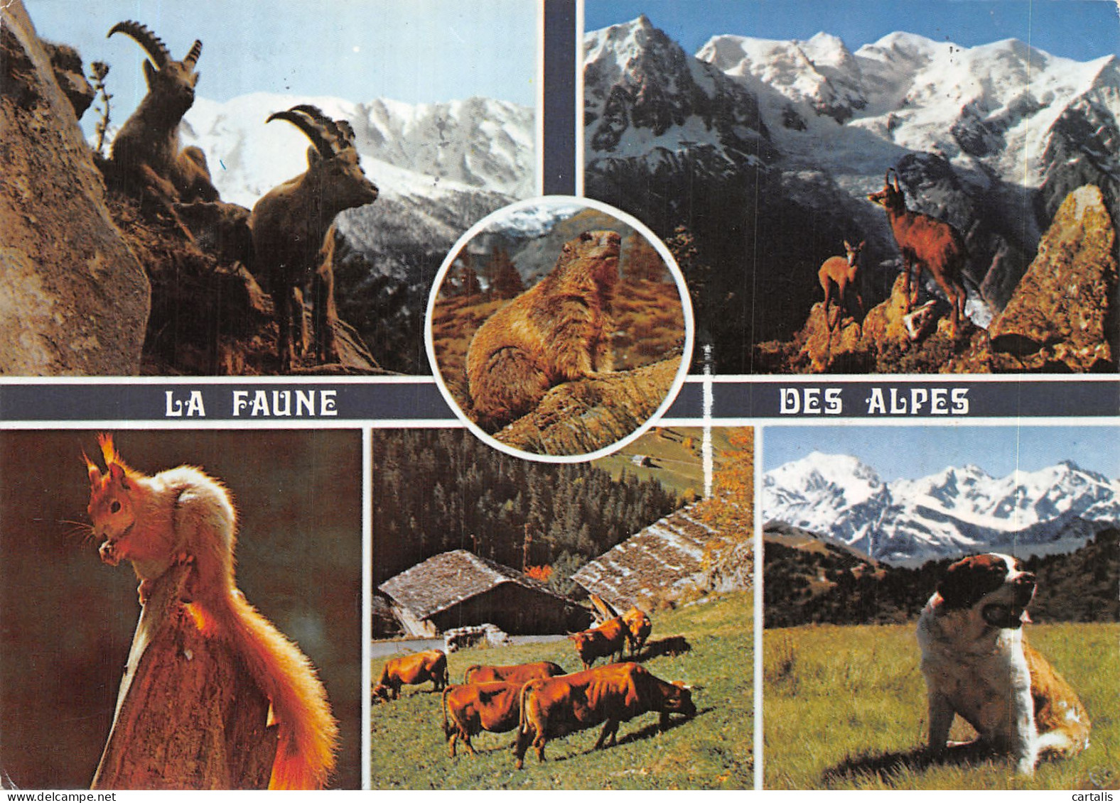 73-ALPES-N°4196-B/0165 - Other & Unclassified