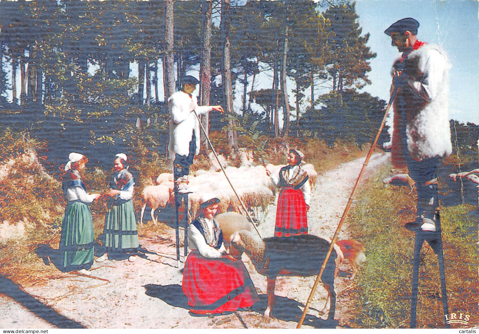 40-LANDES FOLKLORE-N°4196-B/0077 - Other & Unclassified