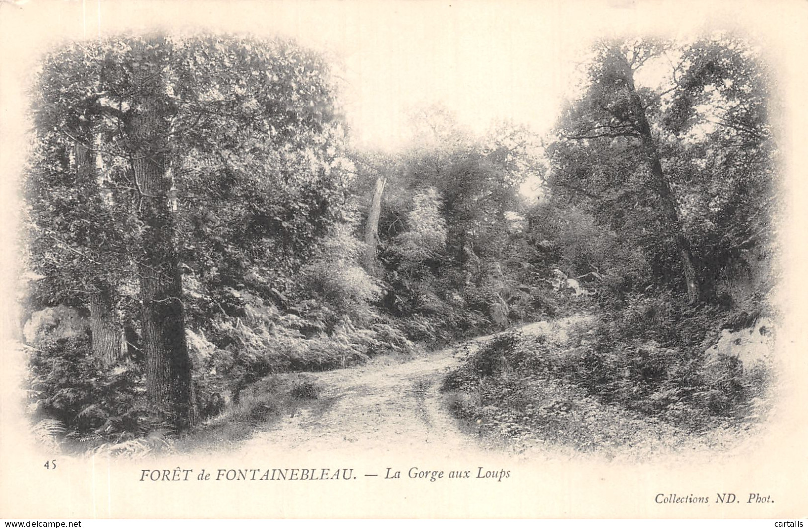 77-FONTAINEBLEAU-N°4195-E/0257 - Fontainebleau