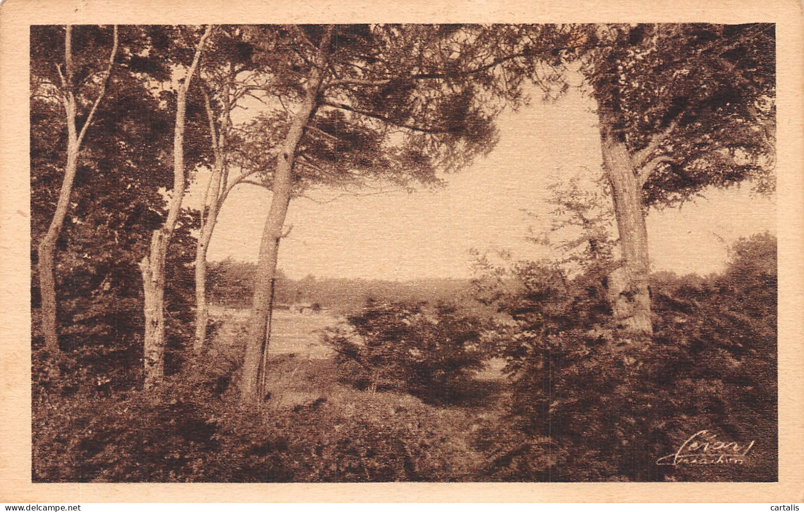 33-ARCACHON-N°4195-E/0003 - Arcachon