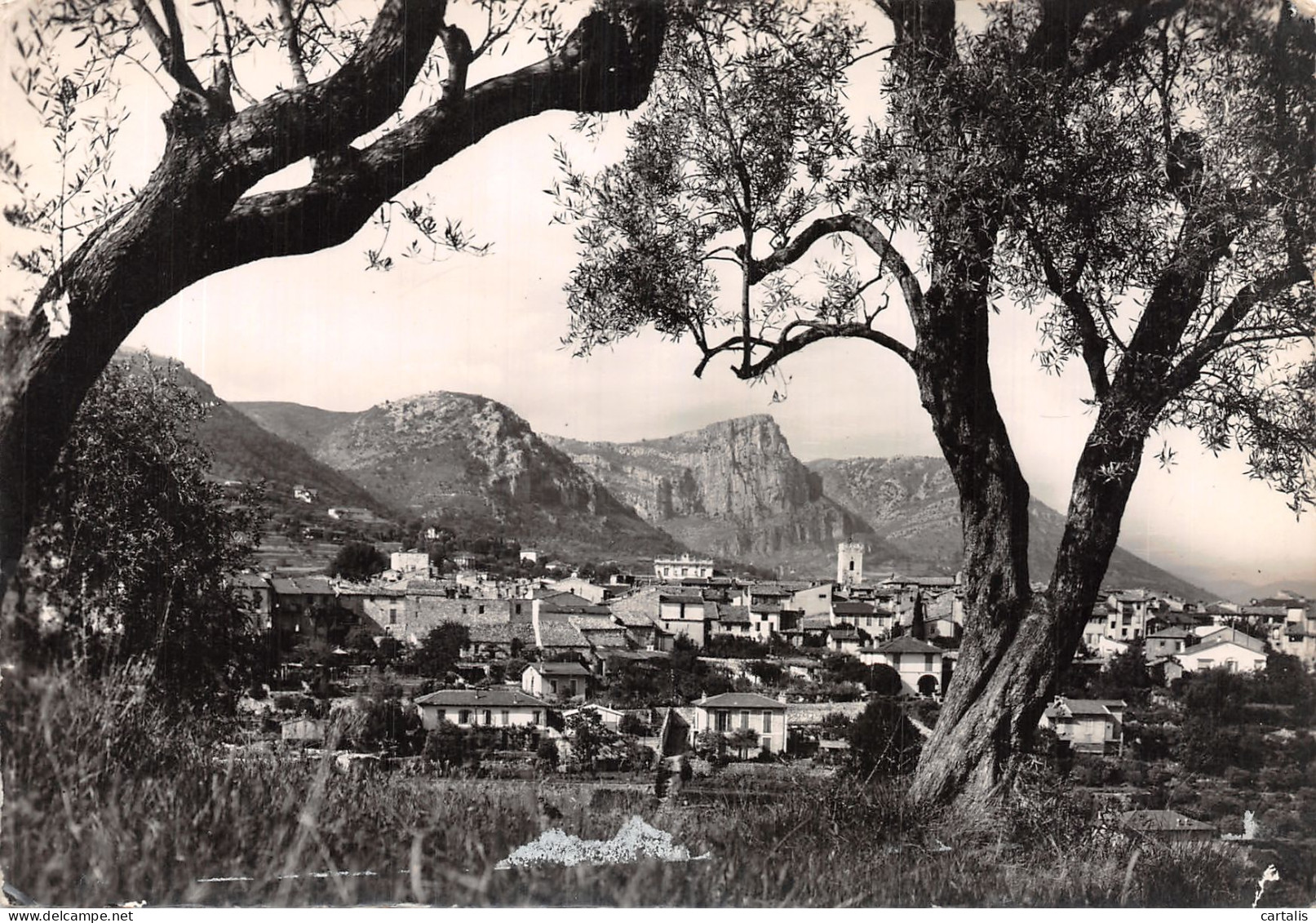 06-VENCE LA JOLIE-N°4196-D/0263 - Vence