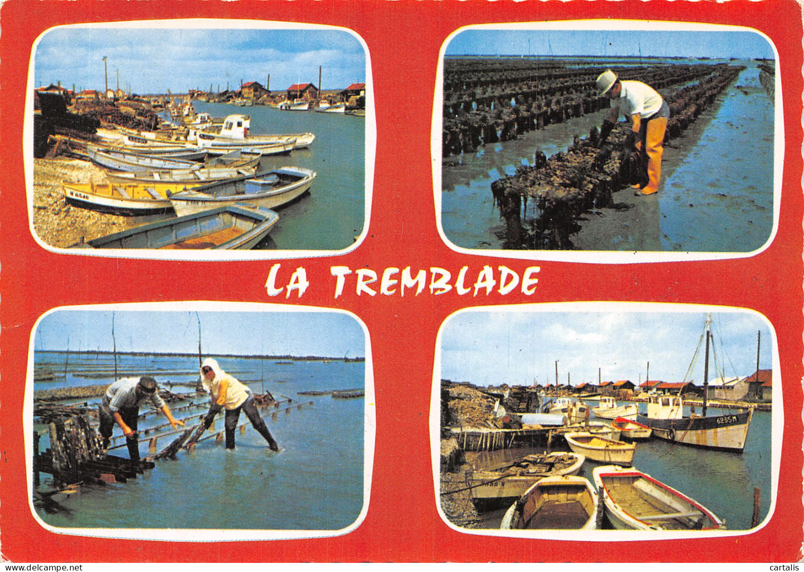 17-LA TREMBLADE-N°4196-D/0211 - La Tremblade