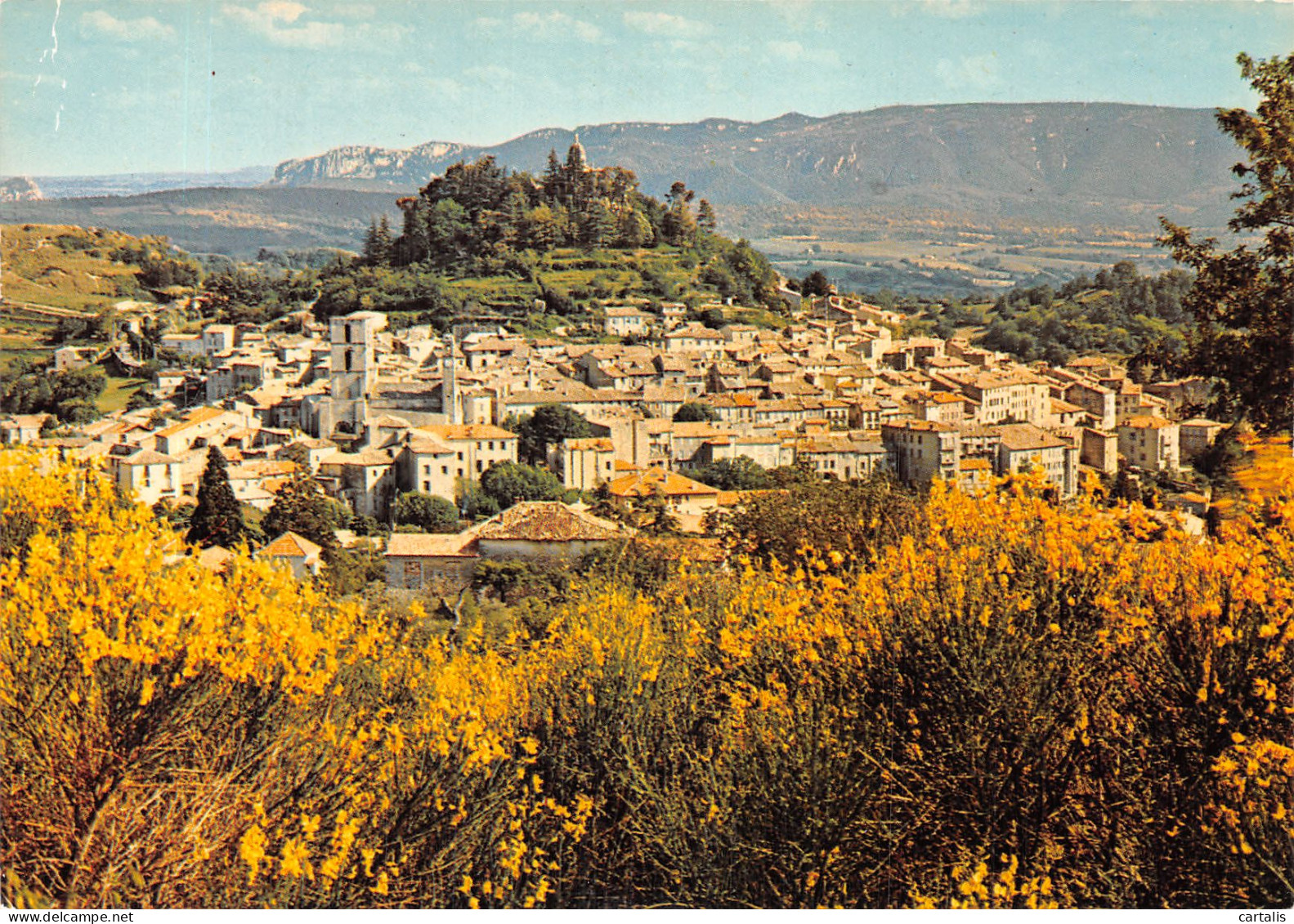 04-FORCALQUIER-N°4196-D/0135 - Forcalquier